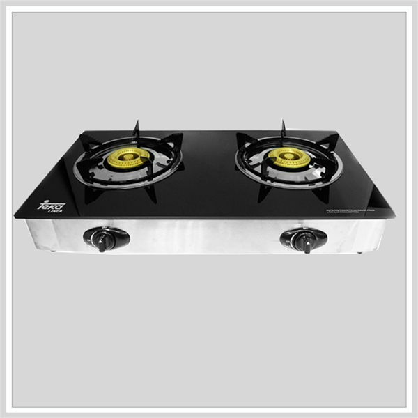 Bếp Gas Dương Teka GX2